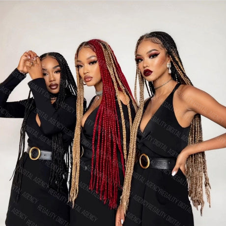 Gorgeous Braid Hair Stock Video for Stylists and Beauty Enthusiasts